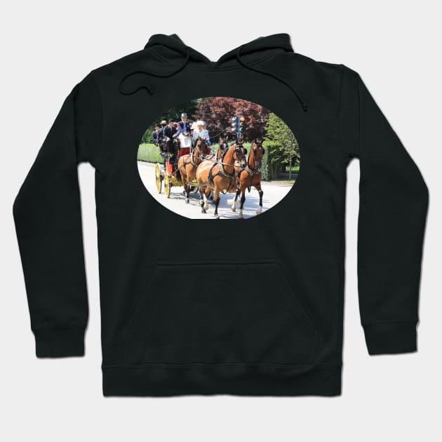 Newport Horses and Carriages Hoodie by Laybov